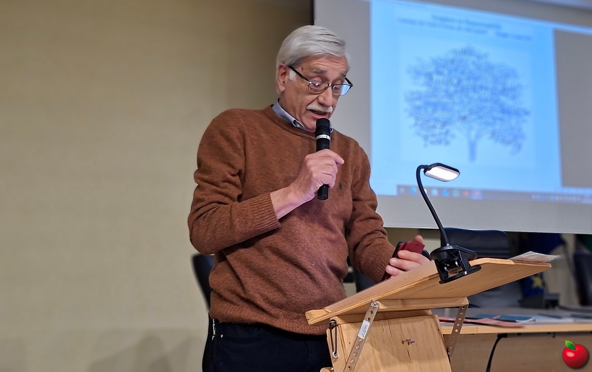 missagliagiustifine_0012.jpg (310 KB)