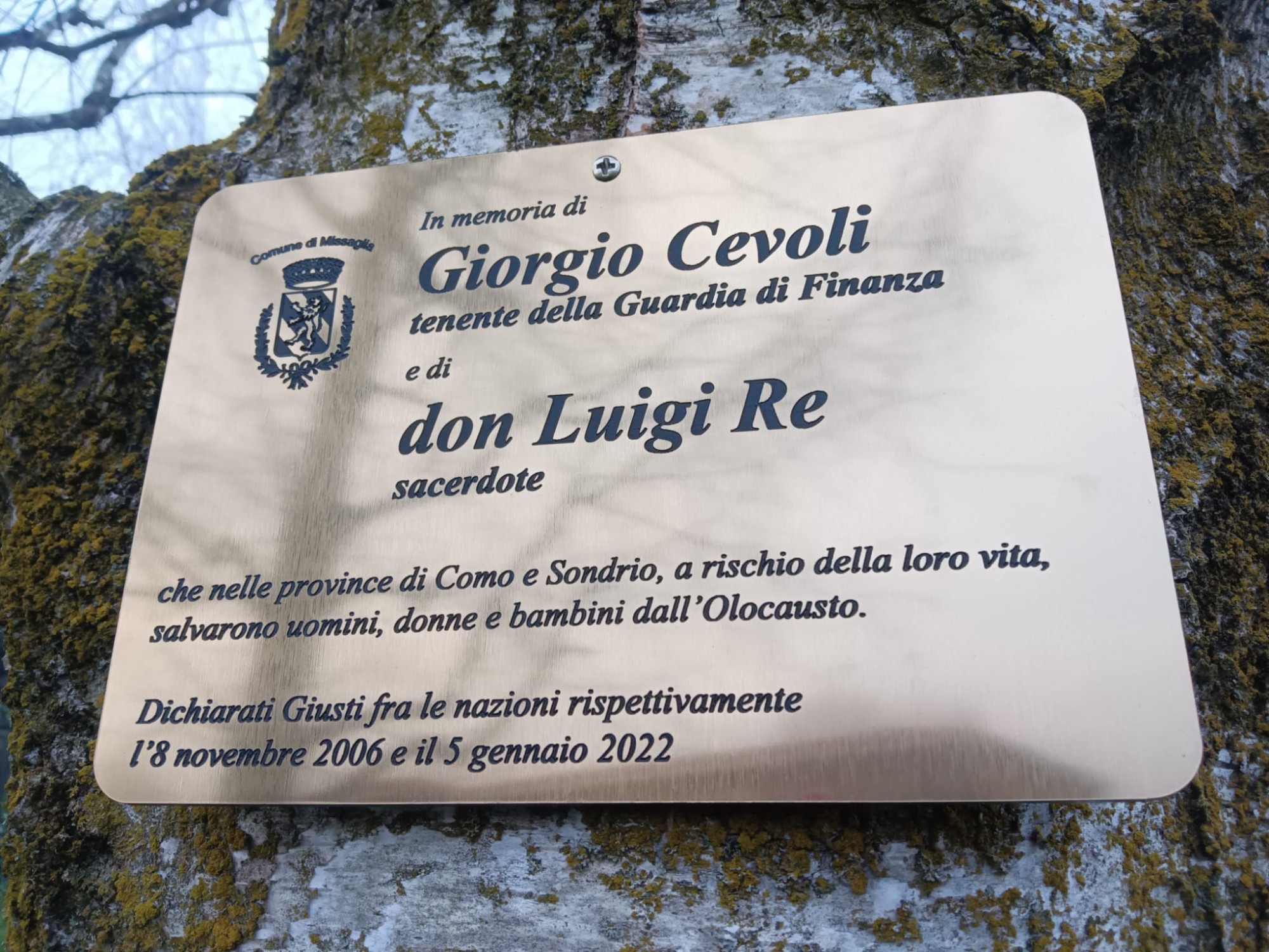 missagliagiustiscuole__4_.jpg (577 KB)