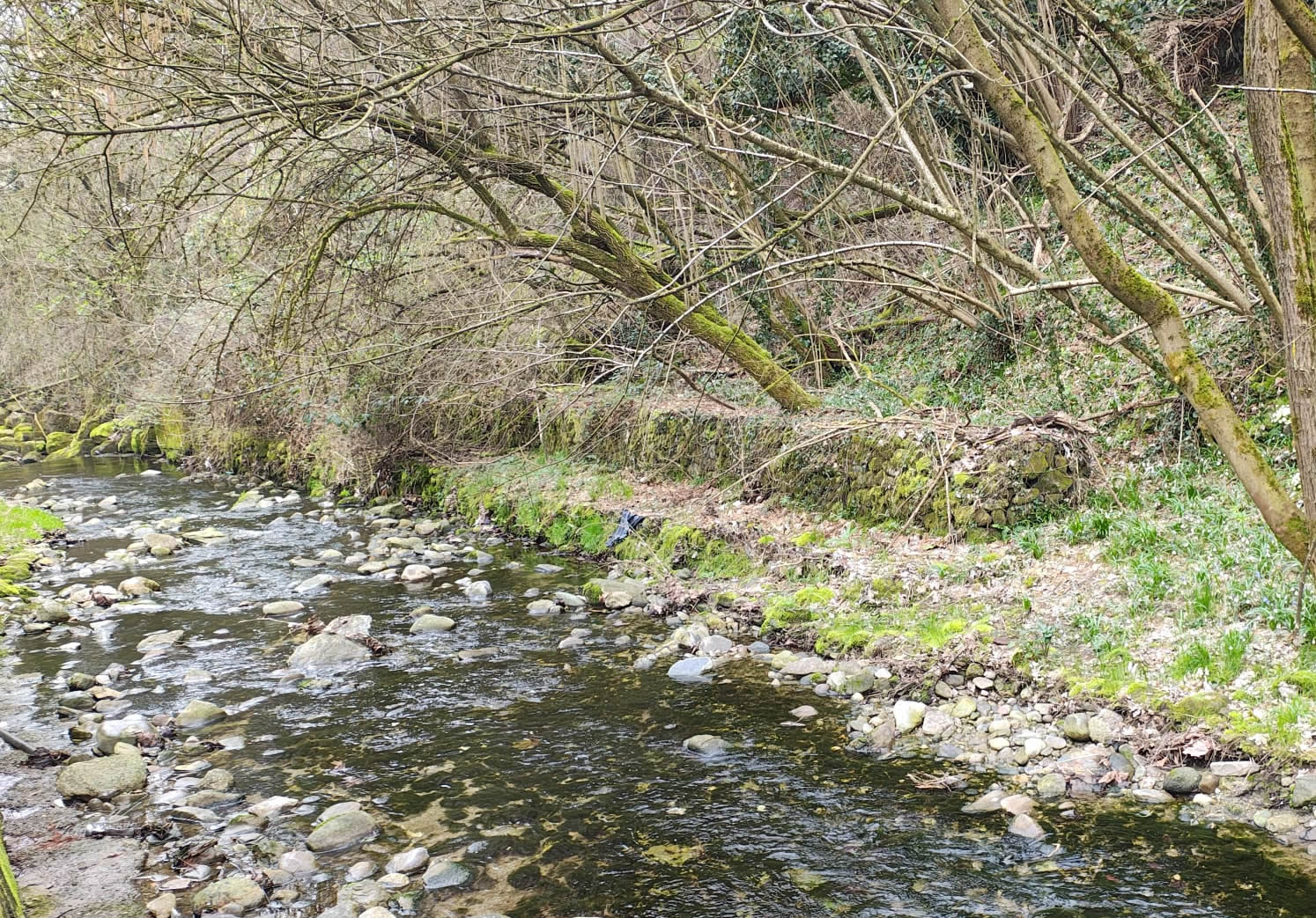 missagliaup15.jpg (533 KB)