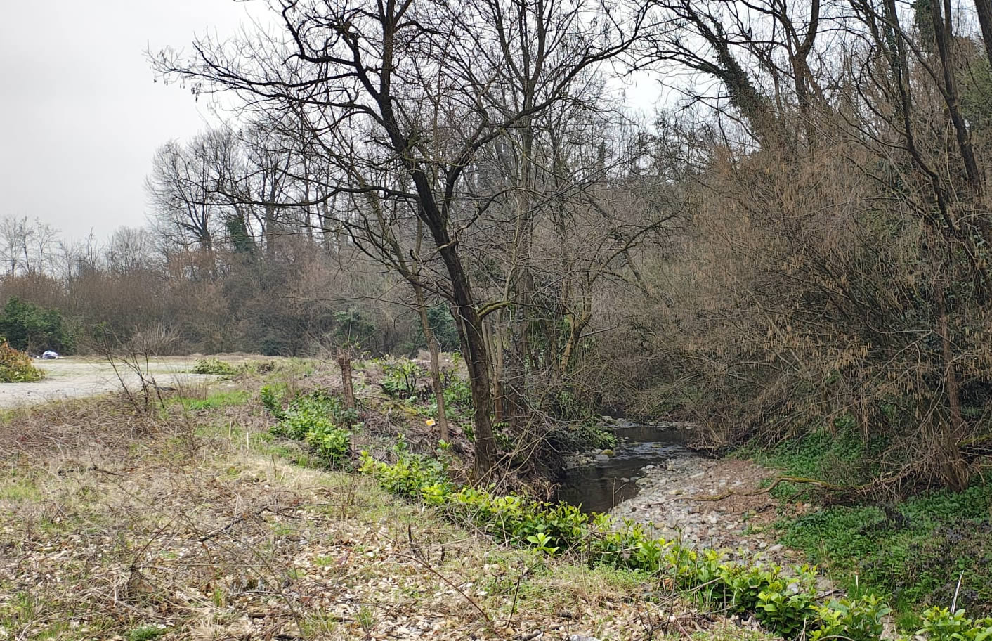 missagliaup16.jpg (427 KB)