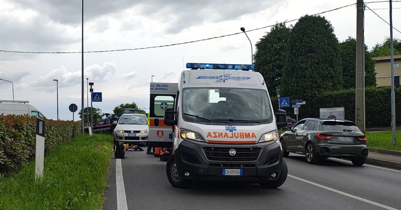 monticello54_1.jpg (90 KB)