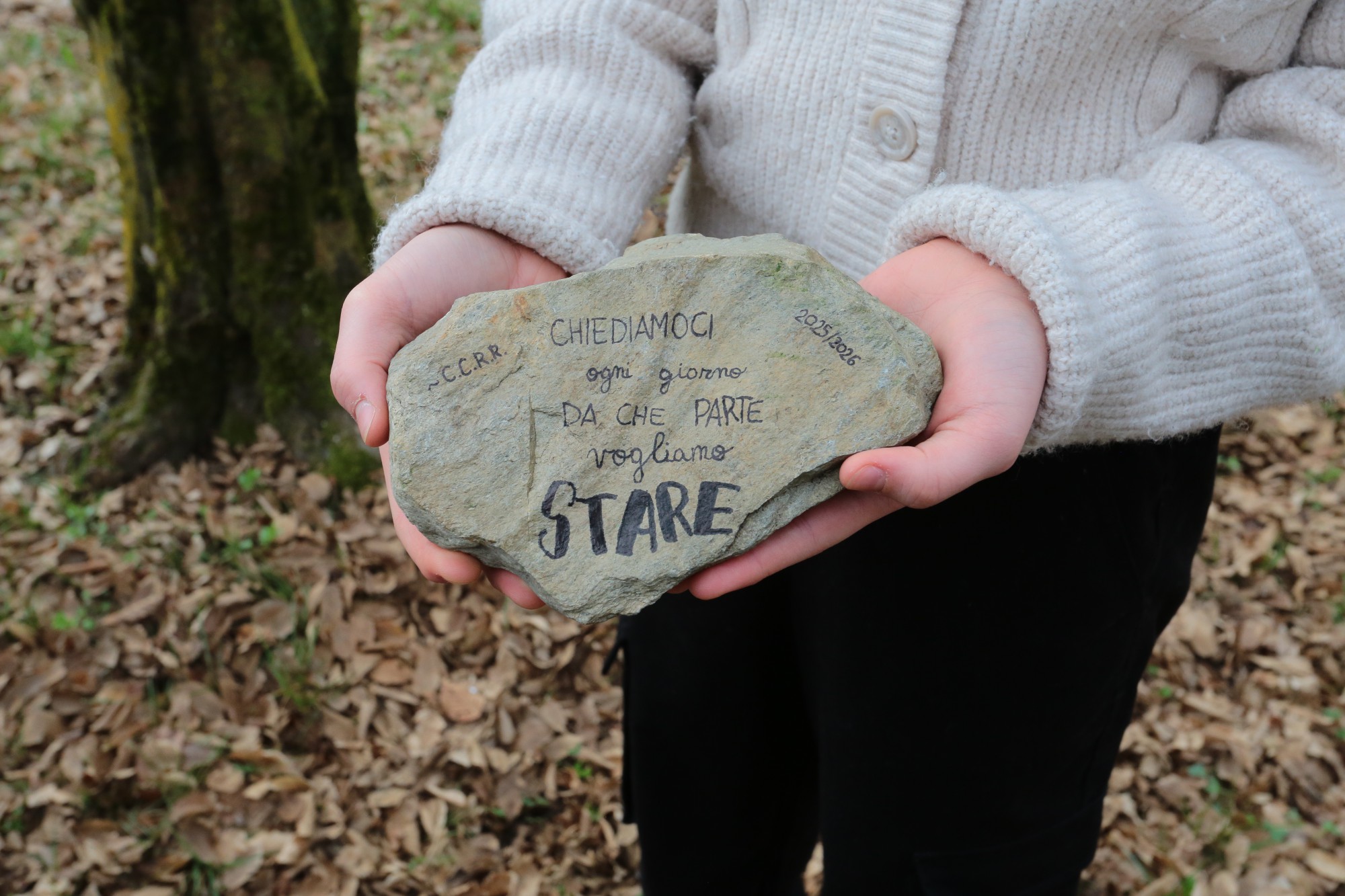 monticellogiusti__3_.JPG (423 KB)