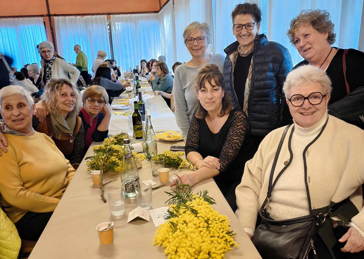 monticellolilt.jpg (597 KB)