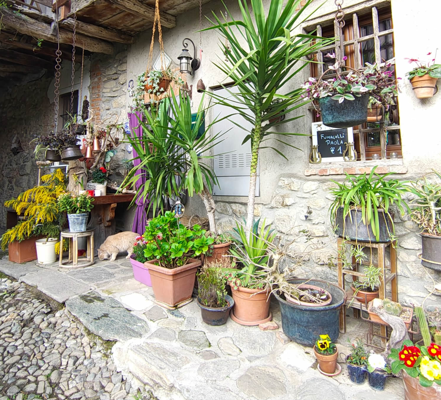 monticellomassimof2.jpg (446 KB)