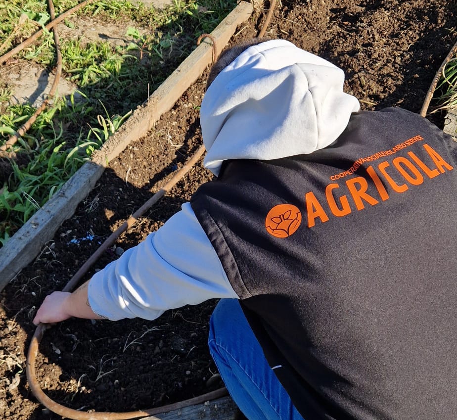 monticellovolo__9_.jpg (583 KB)