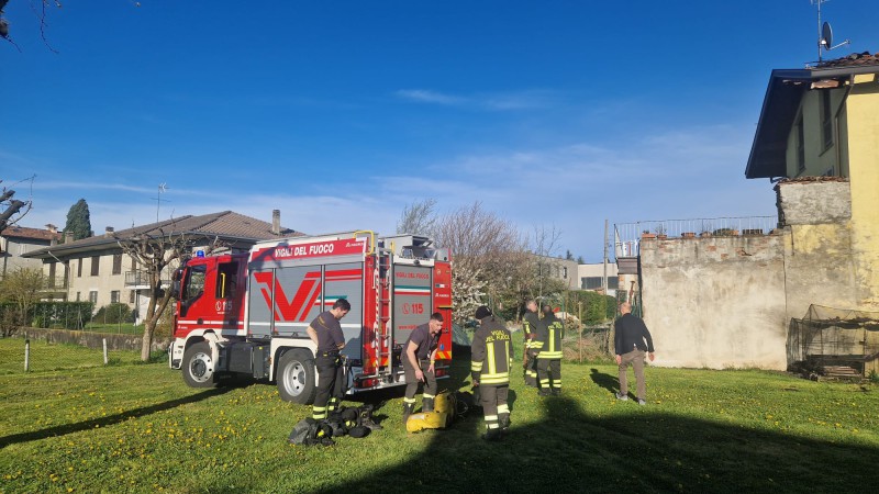 nibionnovf__1_.jpeg (99 KB)