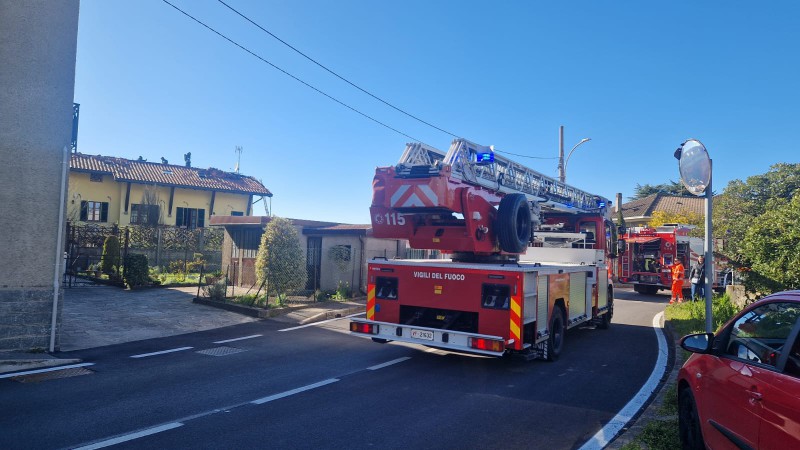 nibionnovf__2_.jpeg (86 KB)