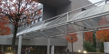 ospedalemanzonipr.jpg (74 KB)