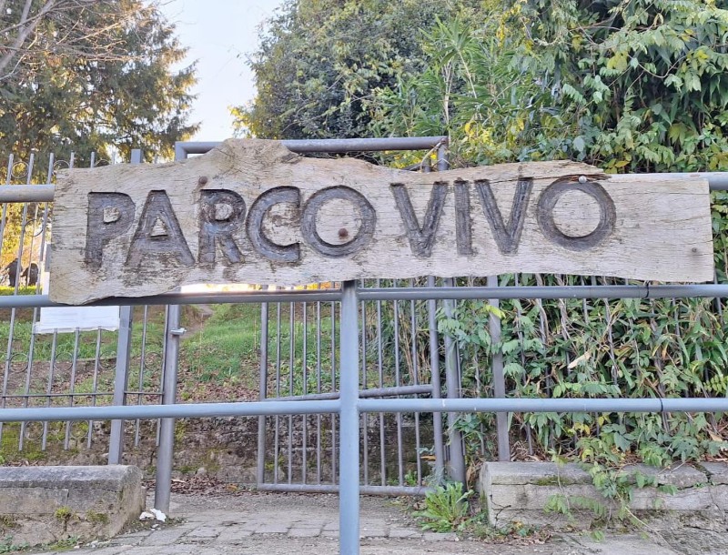 parcovivo-1.jpg (208 KB)