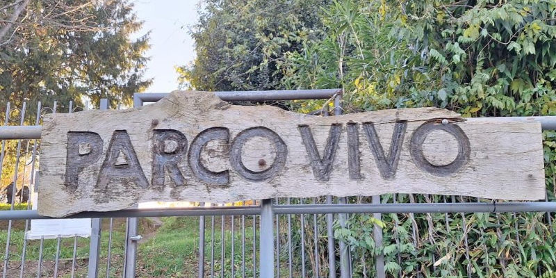 parcovivo-pr.jpg (289 KB)