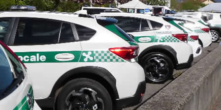 pl_prima.jpg (33 KB)