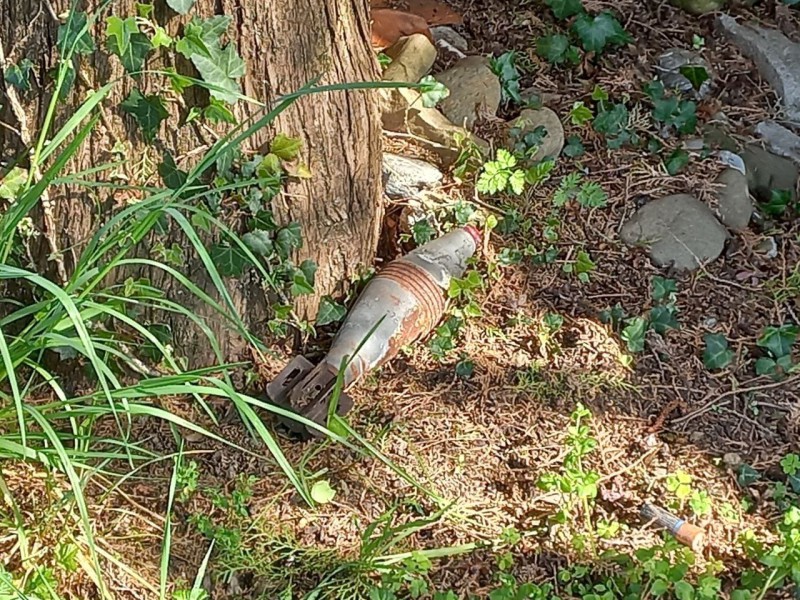 rogenoresiduo2.jpg (226 KB)