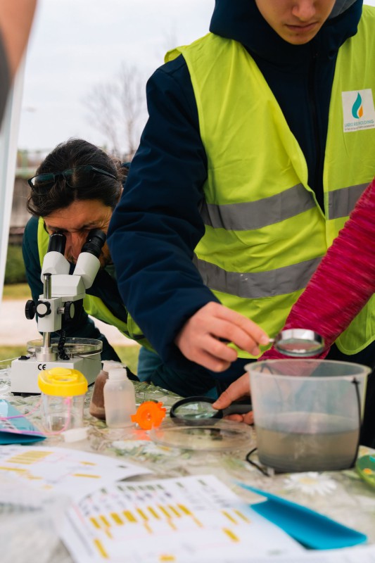 tn_DSC01037.jpg (82 KB)