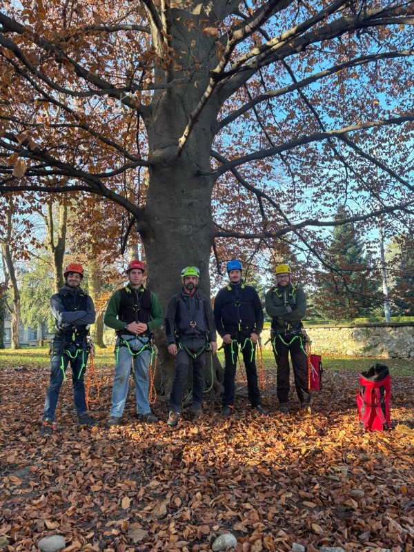 tree_climbing_1.jpg (235 KB)