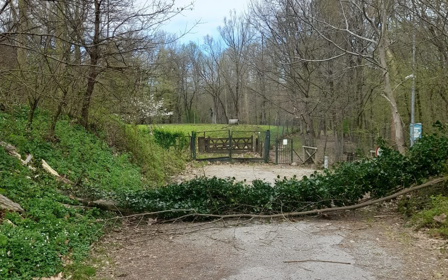 vento__1_.jpeg (1.06 MB)