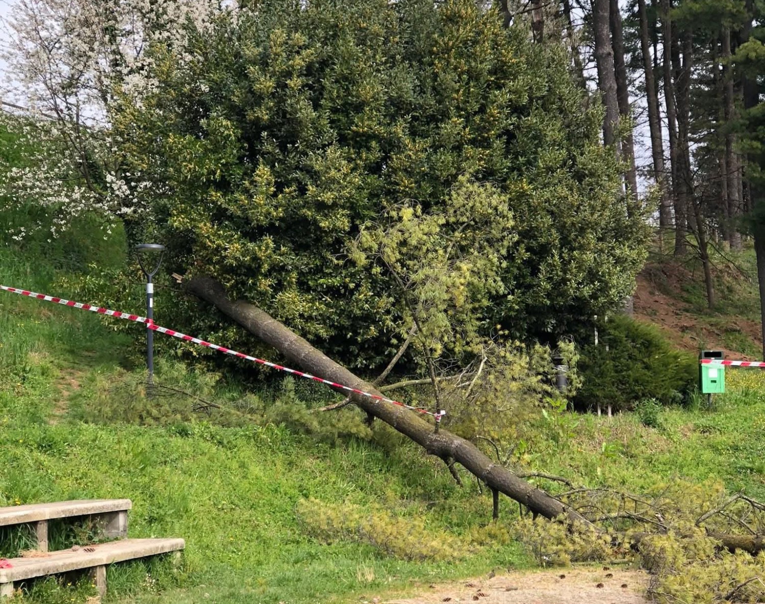 vento__2_.jpeg (1.37 MB)