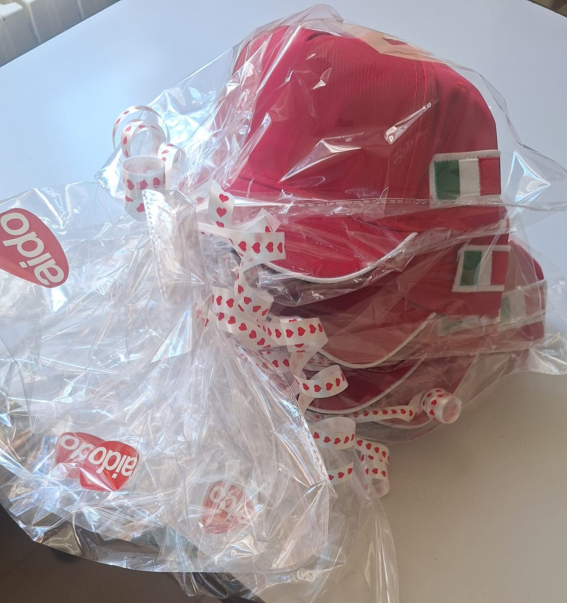 viganorsapapa__4_.jpeg (366 KB)