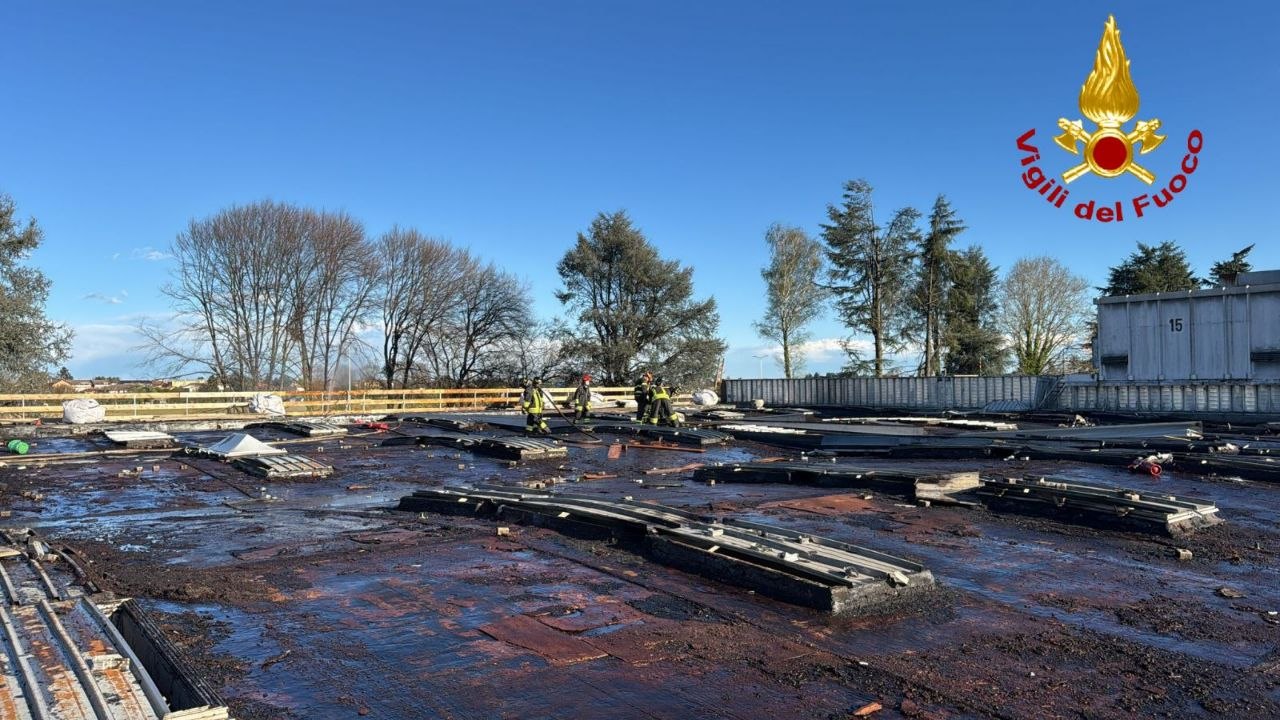 vimercateexibm___1_.jpeg (211 KB)