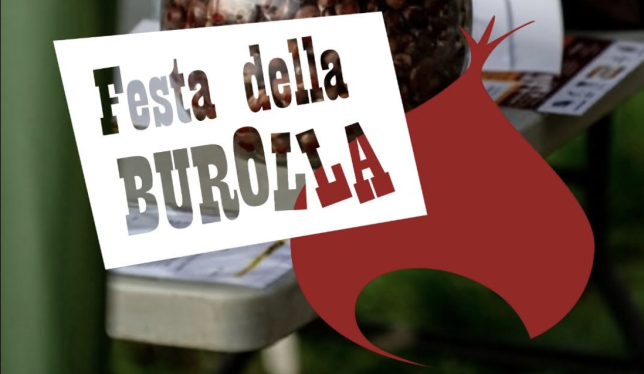 Colle_burolla_1.png (224 KB)