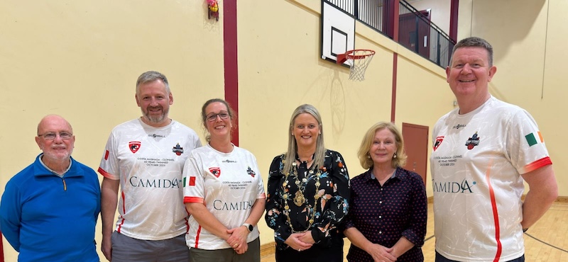 Costa_basket_clonmel1.jpg (115 KB)