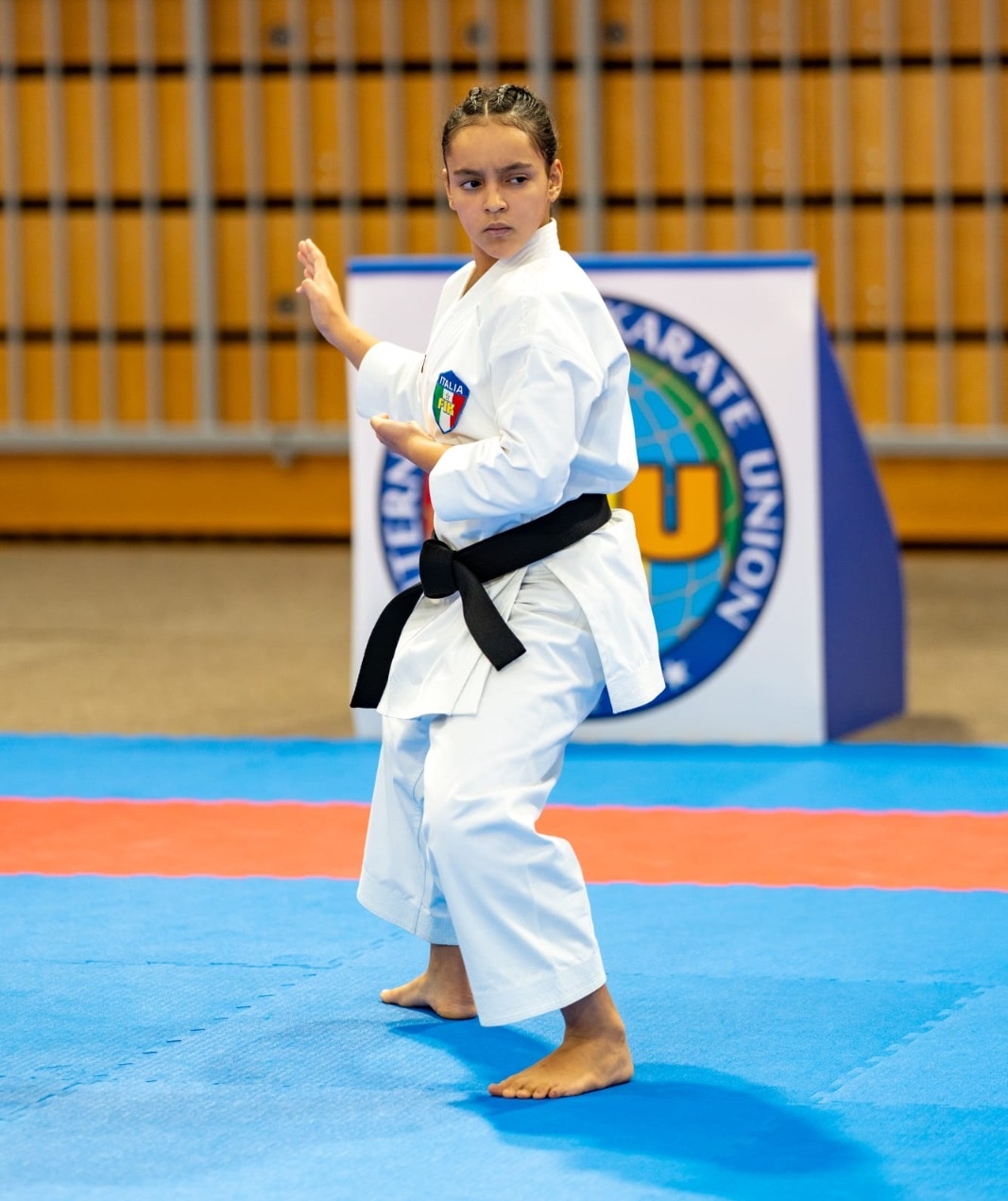 Dolzago_haiar_karate__5_.jpg (475 KB)