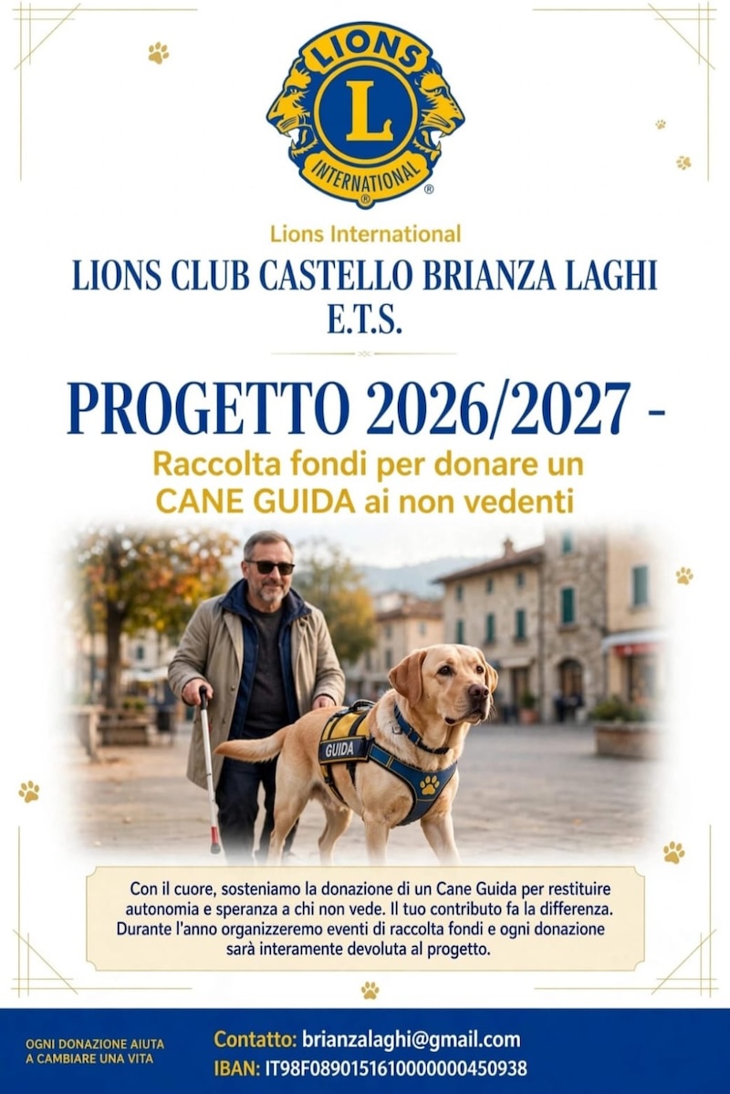 Lions_castello10.jpg (249 KB)