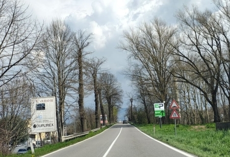 bulciagoss342_prima.jpg (124 KB)