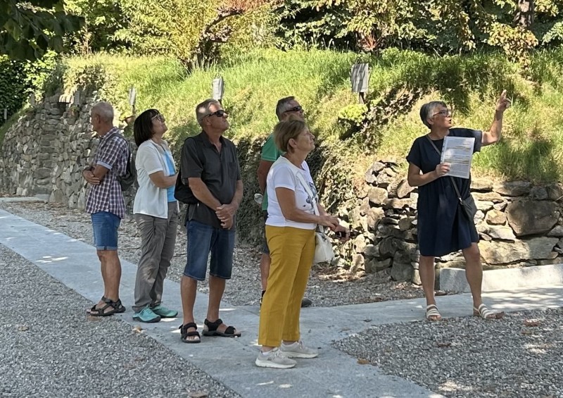 Camminannone4.jpg (192 KB)