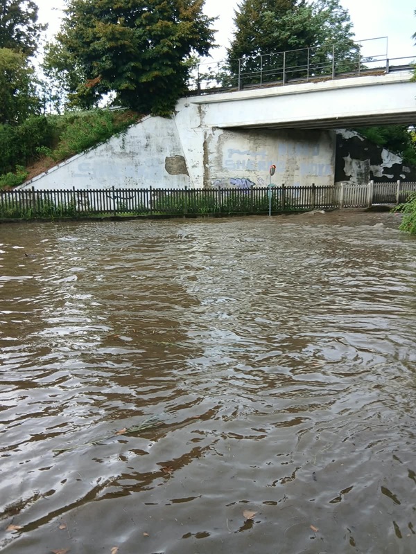 allagamento_Cassago_Bulciago_sotto_il_ponte_1.jpg (230 KB)