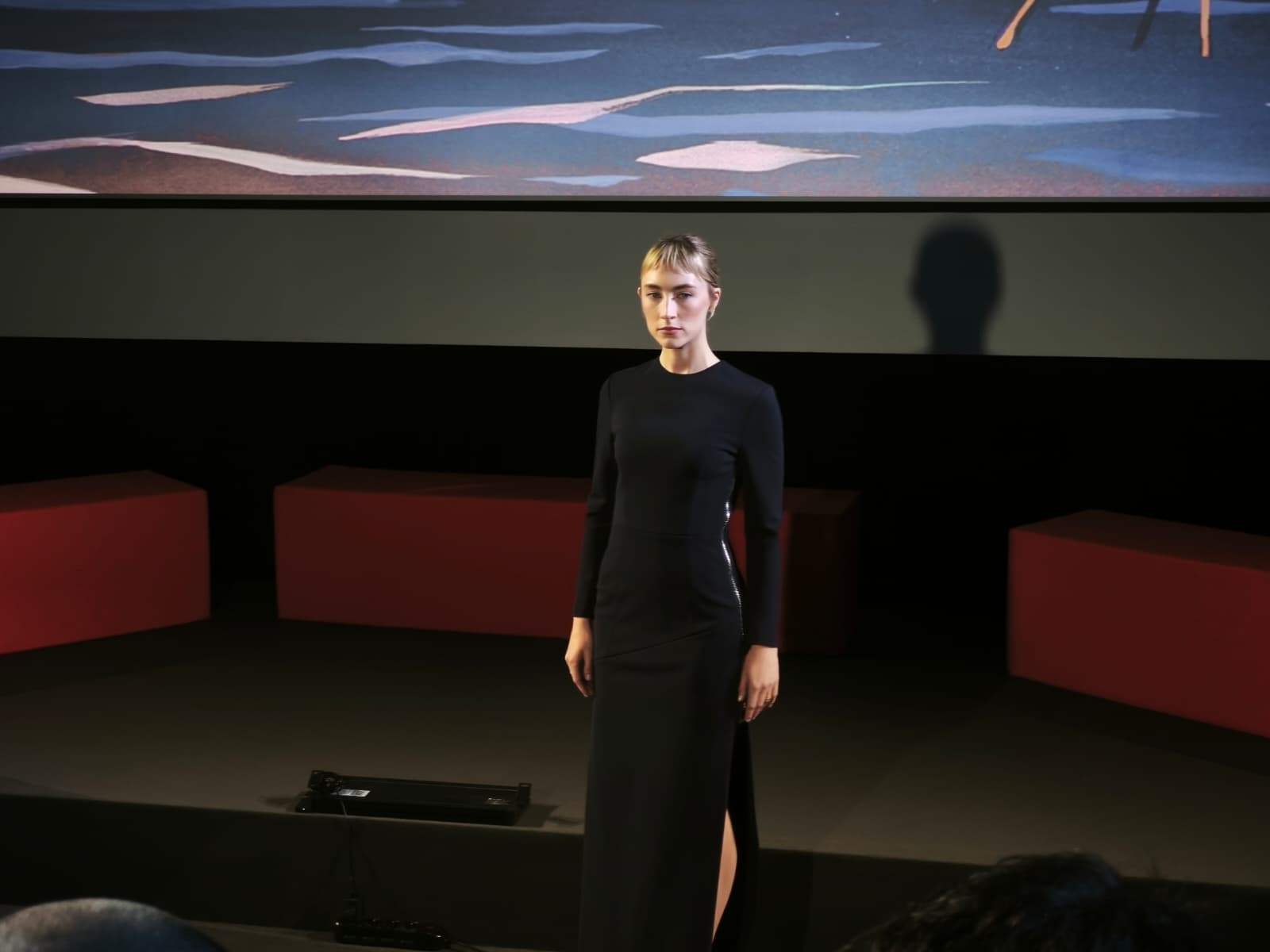 saoirse_ronan.jpeg (59 KB)