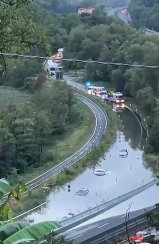 ss36suello3.jpg (76 KB)