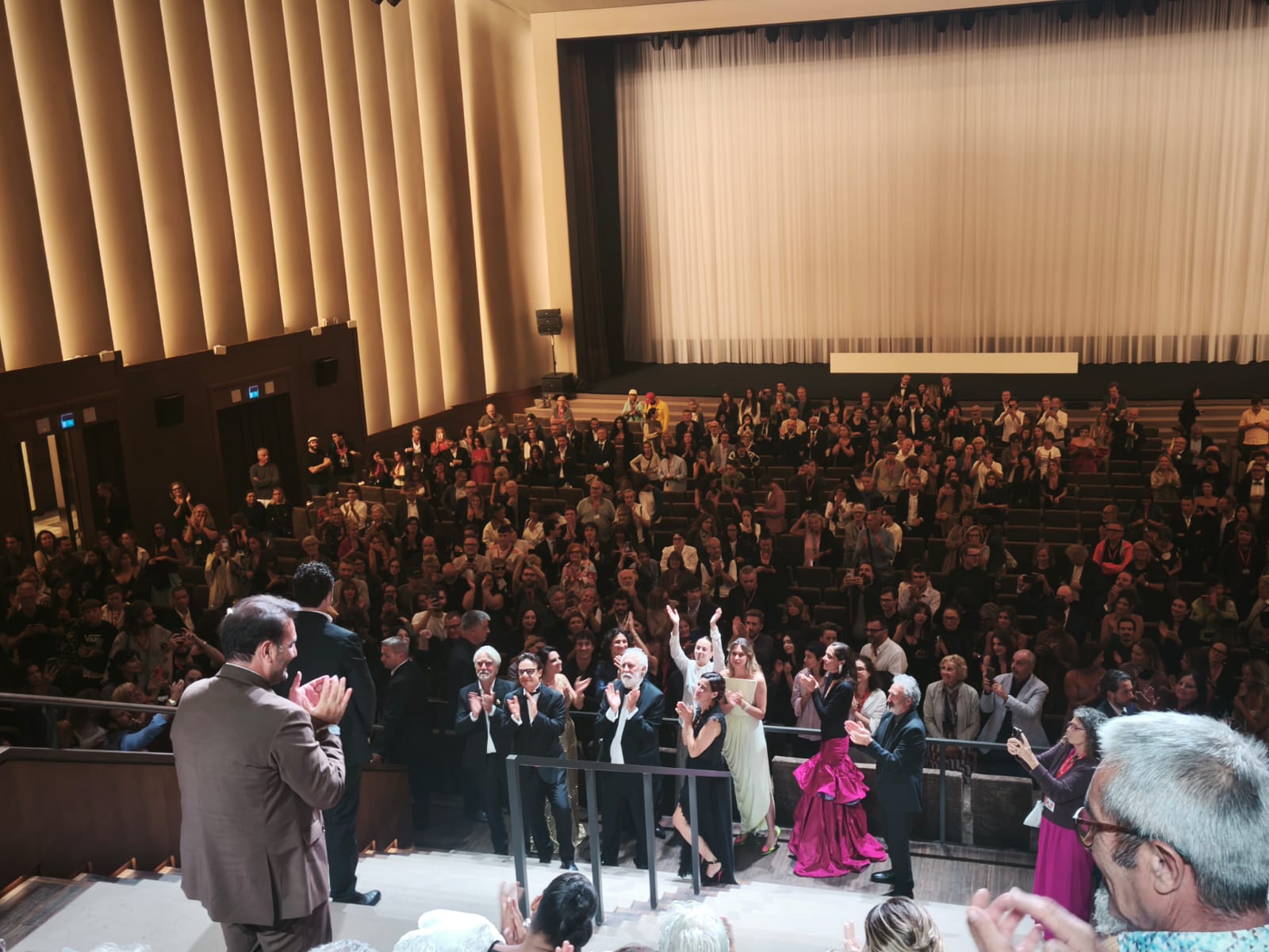 standing_ovation_per_il_fuoco_che_ti_porti_dentro.jpeg (216 KB)