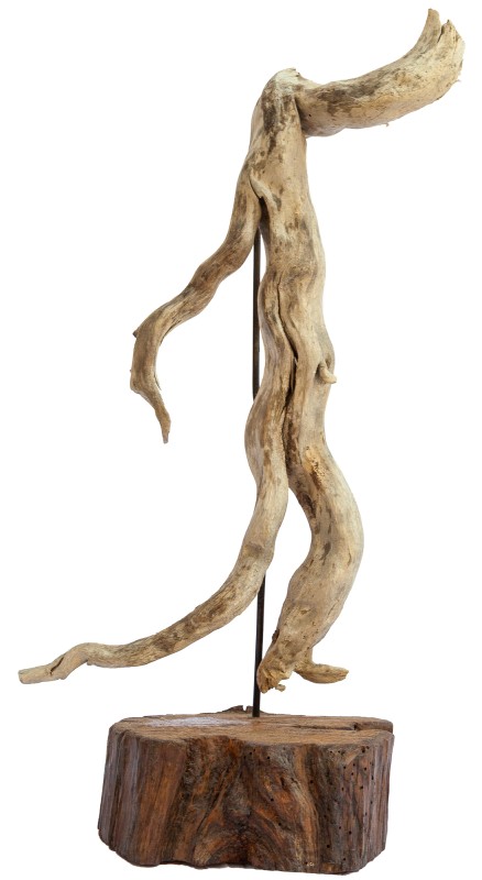 uomo.jpg (44 KB)