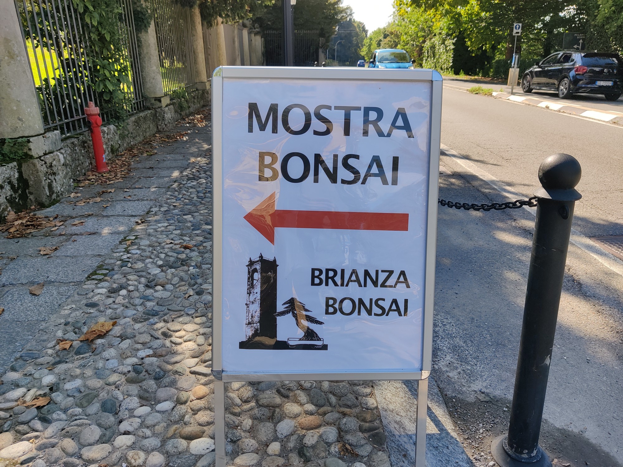 vg_bonsai__2_.jpg (892 KB)