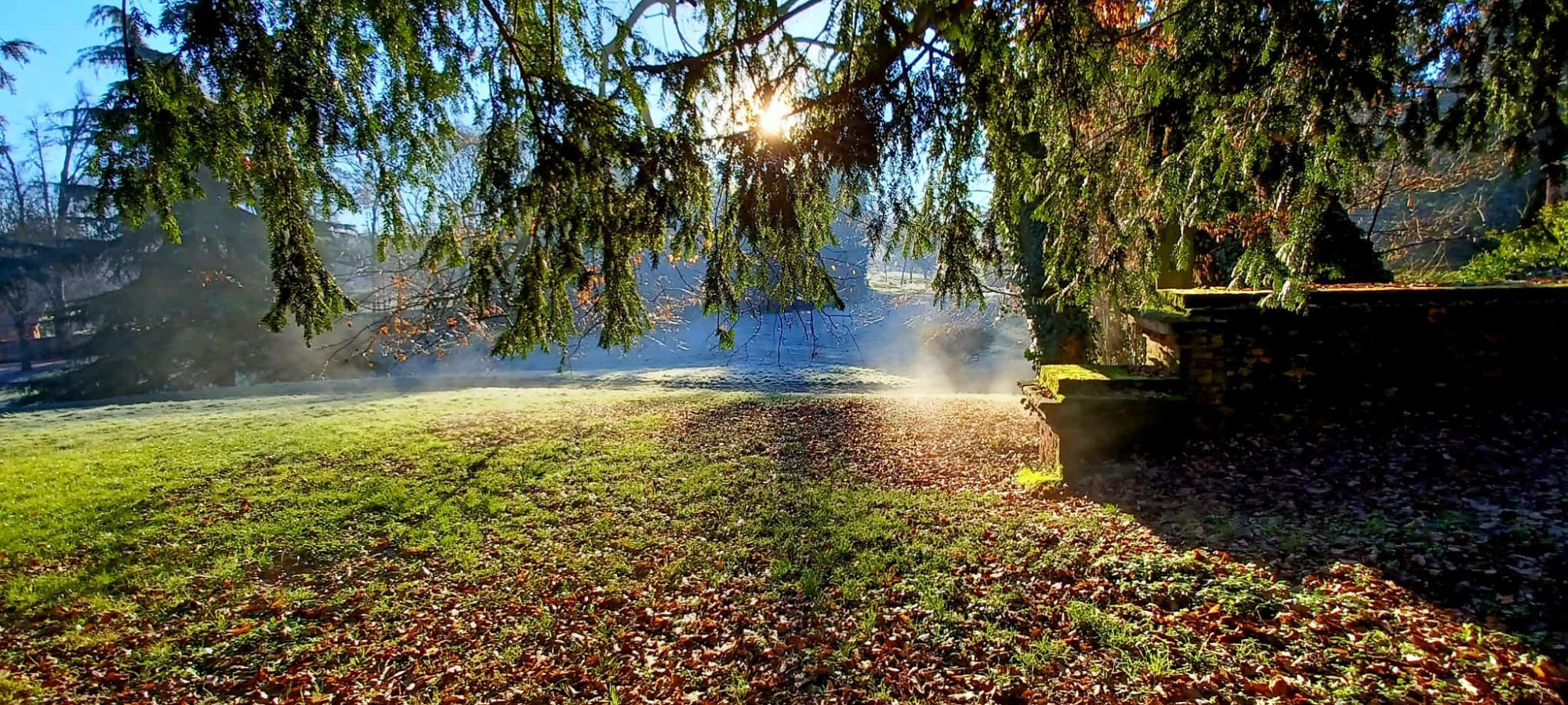 WhatsApp Image 2025-12-28 at 18.35.20  1 .