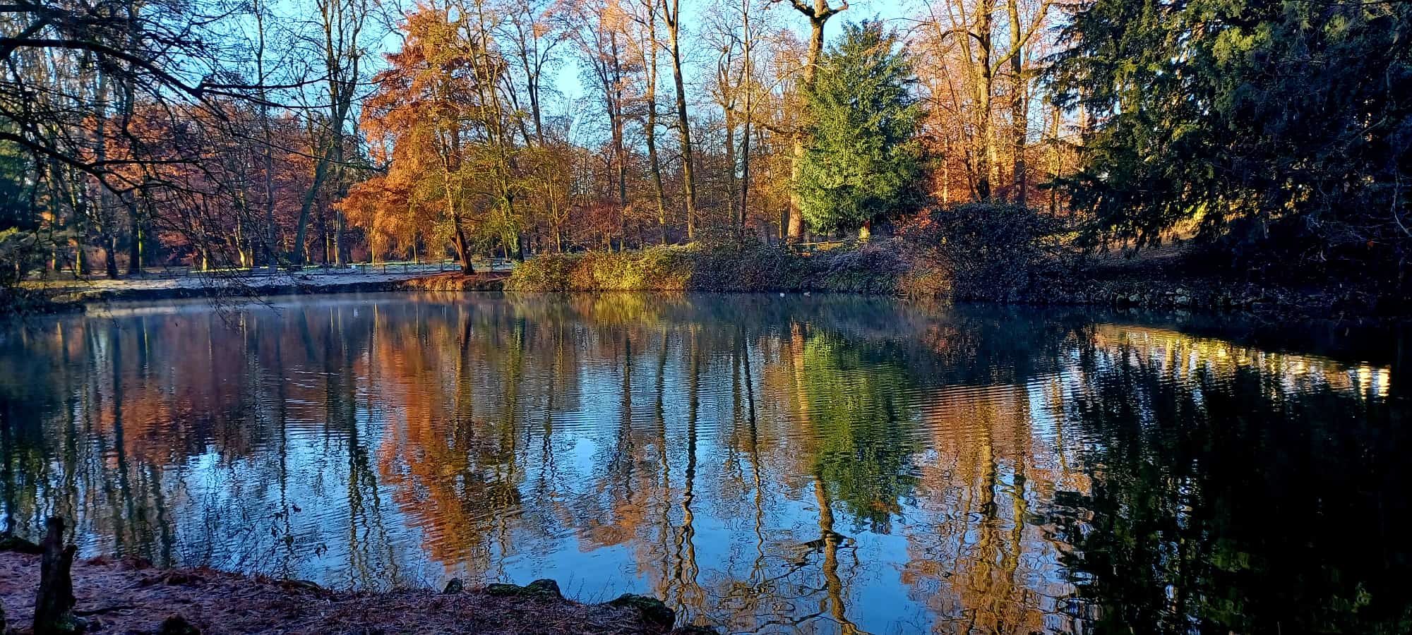 WhatsApp Image 2025-12-28 at 18.35.20  2 .