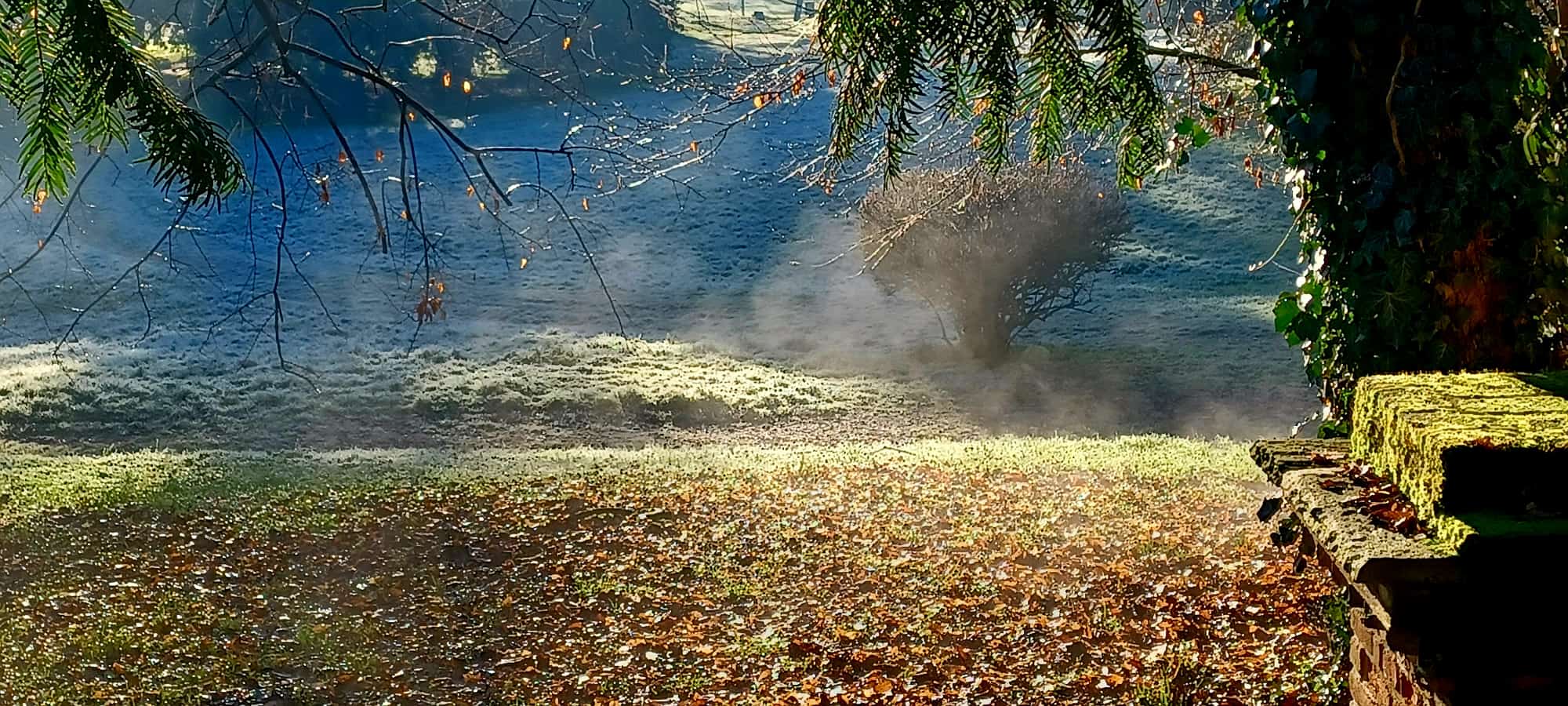 WhatsApp Image 2025-12-28 at 18.35.20  3 .