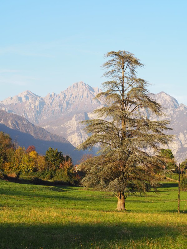 WhatsApp Image 2025-11-07 at 22.24.52  1 .