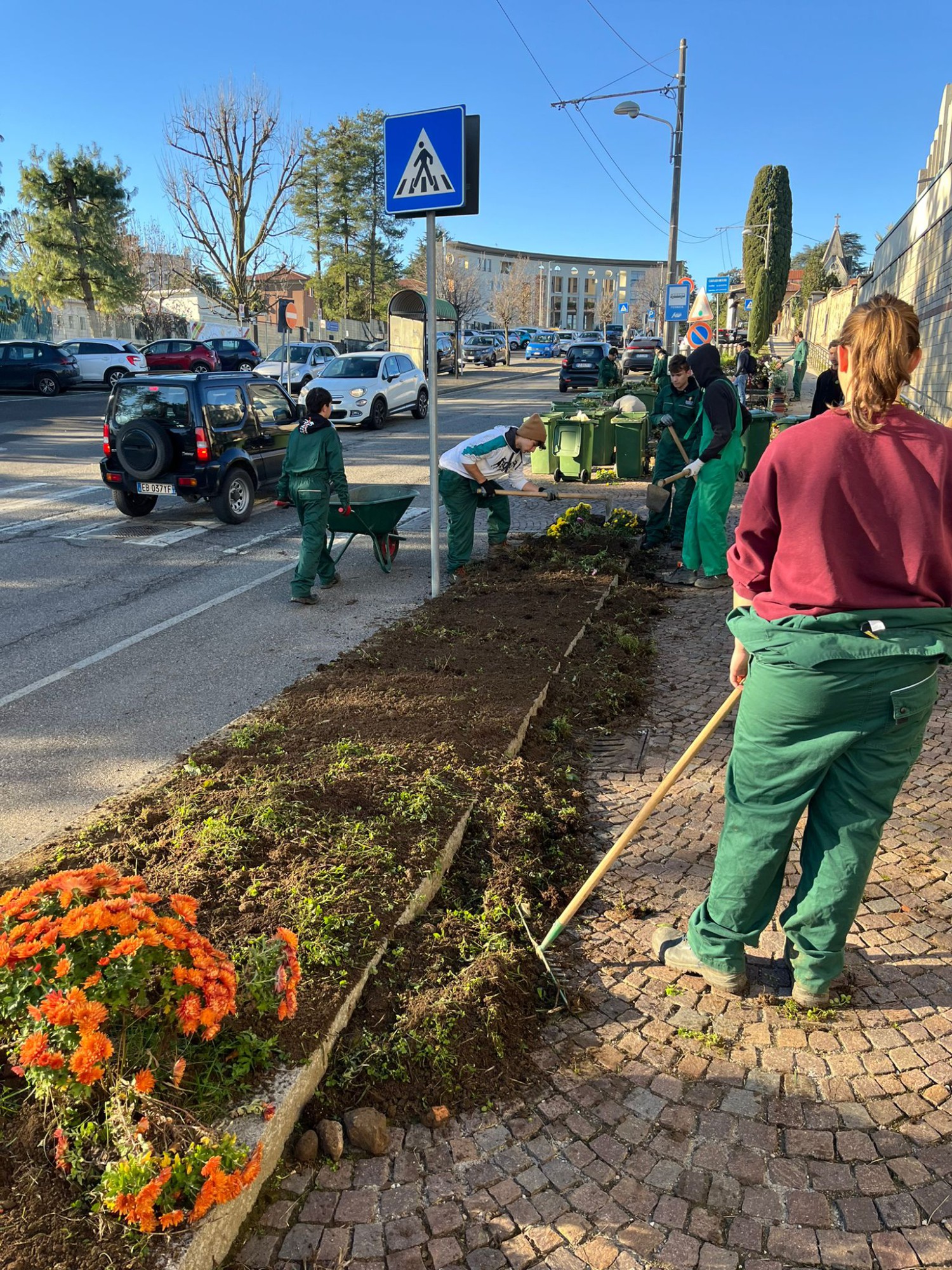 WhatsApp Image 2025-12-13 at 11.35.25  1 .