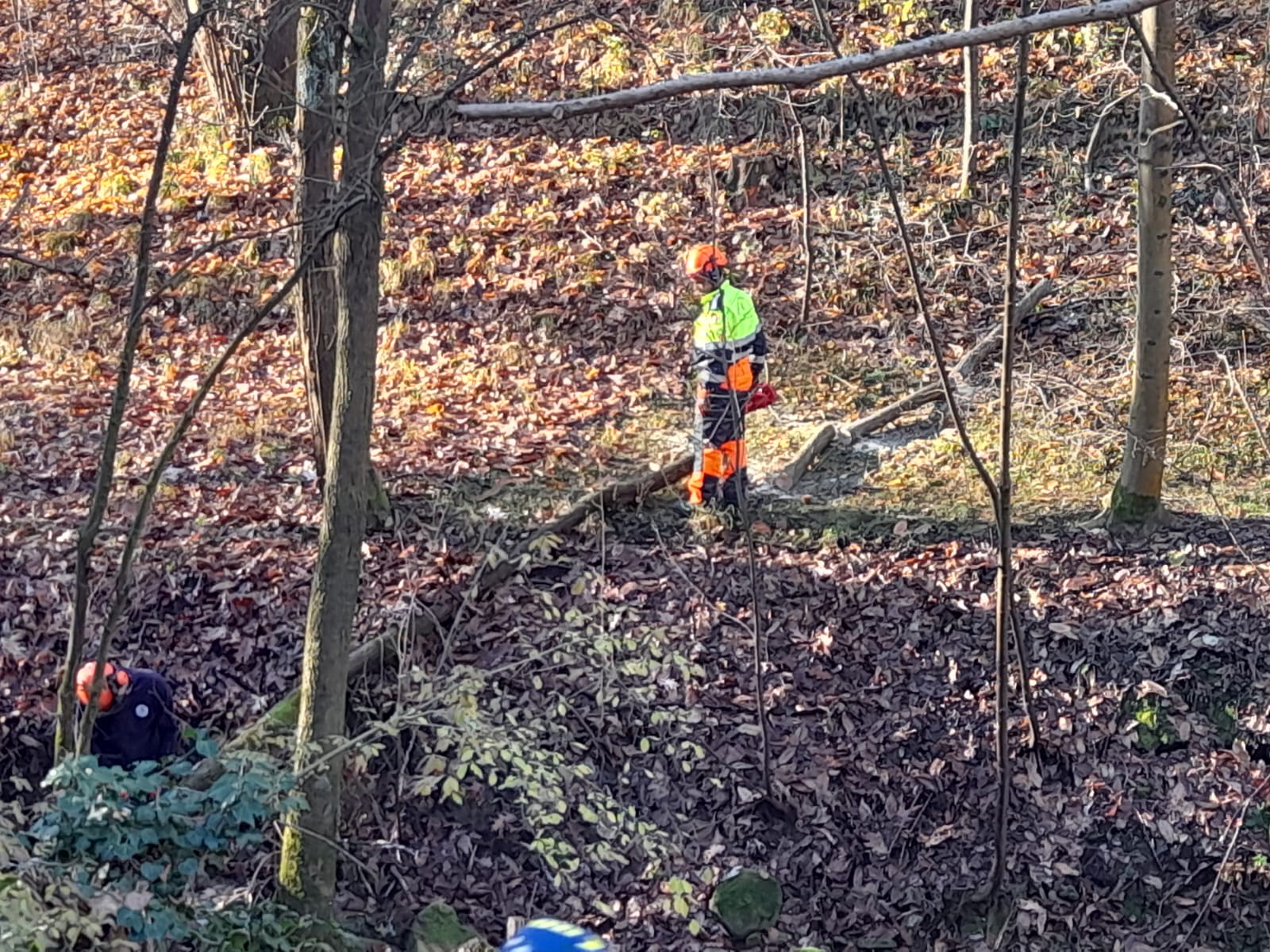 WhatsApp Image 2025-12-13 at 12.45.51 1 .