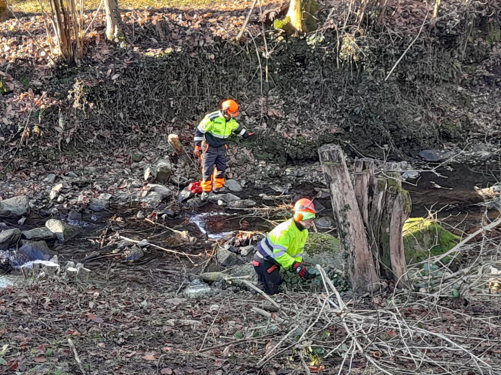 WhatsApp Image 2025-12-13 at 12.45.51 3 .