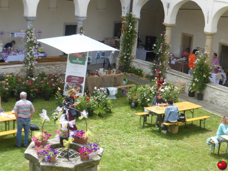 galleria_balconi0081.jpg (146 KB)