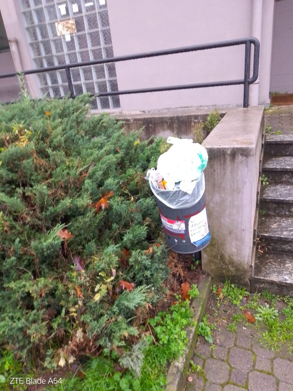 WhatsApp Image 2025-11-02 at 10.36.26.