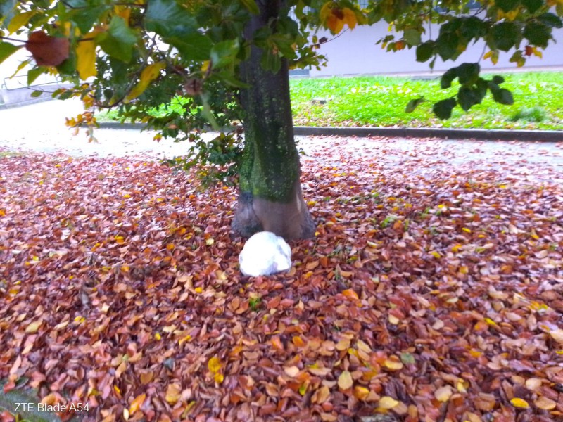 WhatsApp Image 2025-11-02 at 10.36.26 1 .