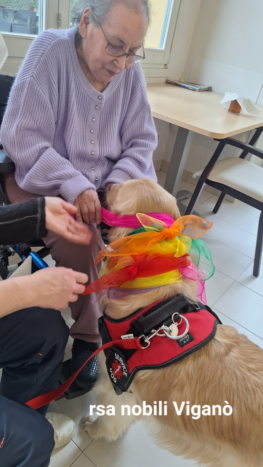 WhatsApp Image 2026-01-24 at 19.05.13  1 .