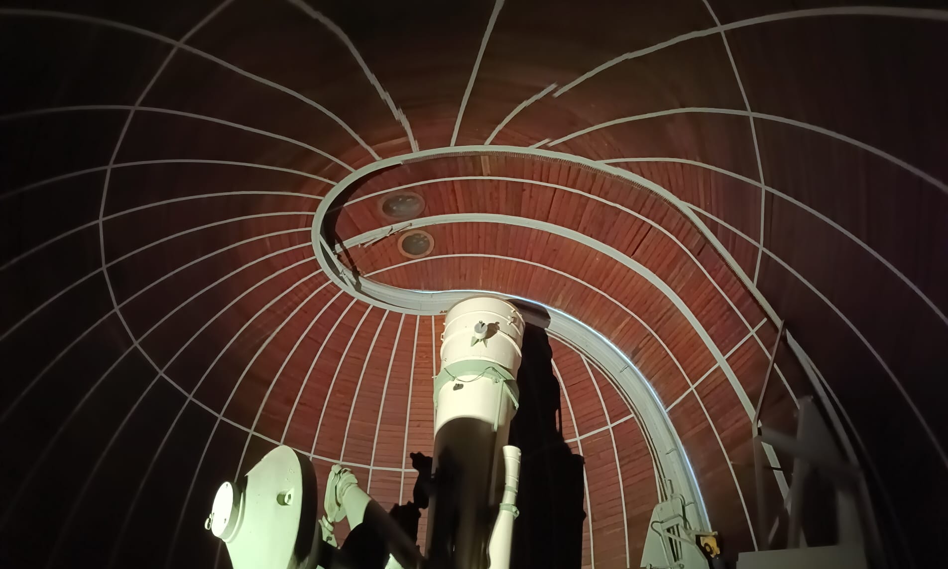 WhatsApp Image 2026-03-29 at 08.23.31  1 .