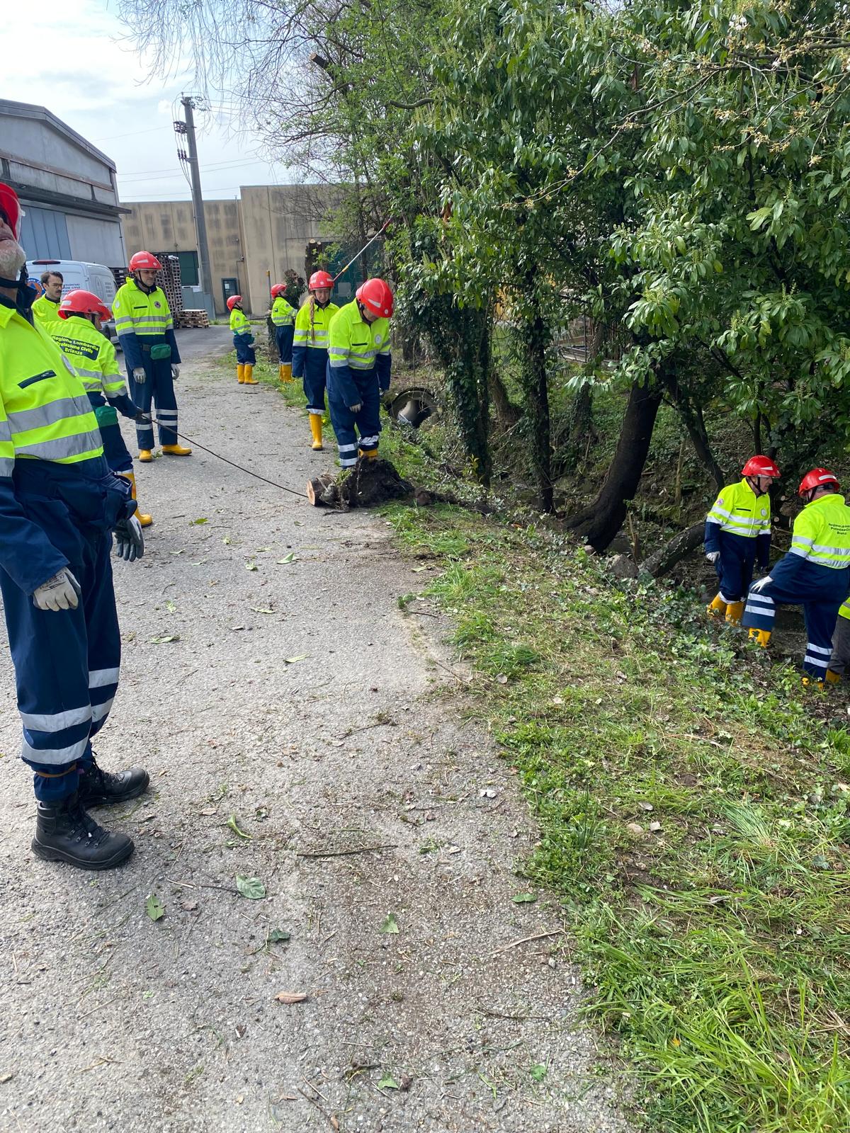 WhatsApp Image 2026-03-24 at 11.51.16.