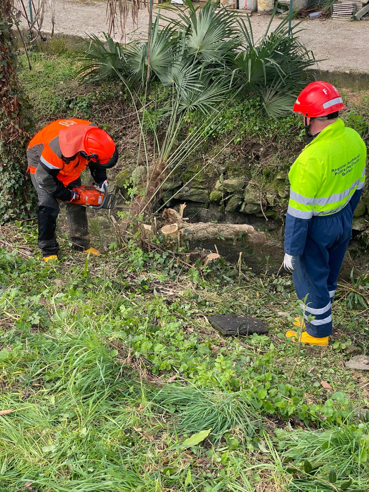 WhatsApp Image 2026-03-24 at 11.51.16 1 .