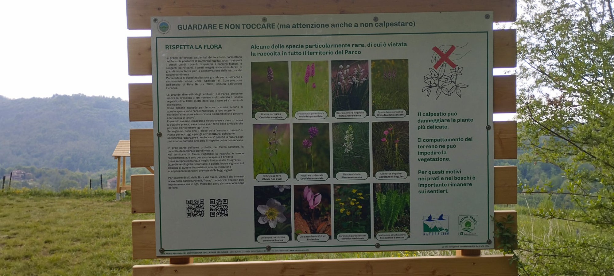 WhatsApp Image 2026-04-16 at 21.48.56  1 .