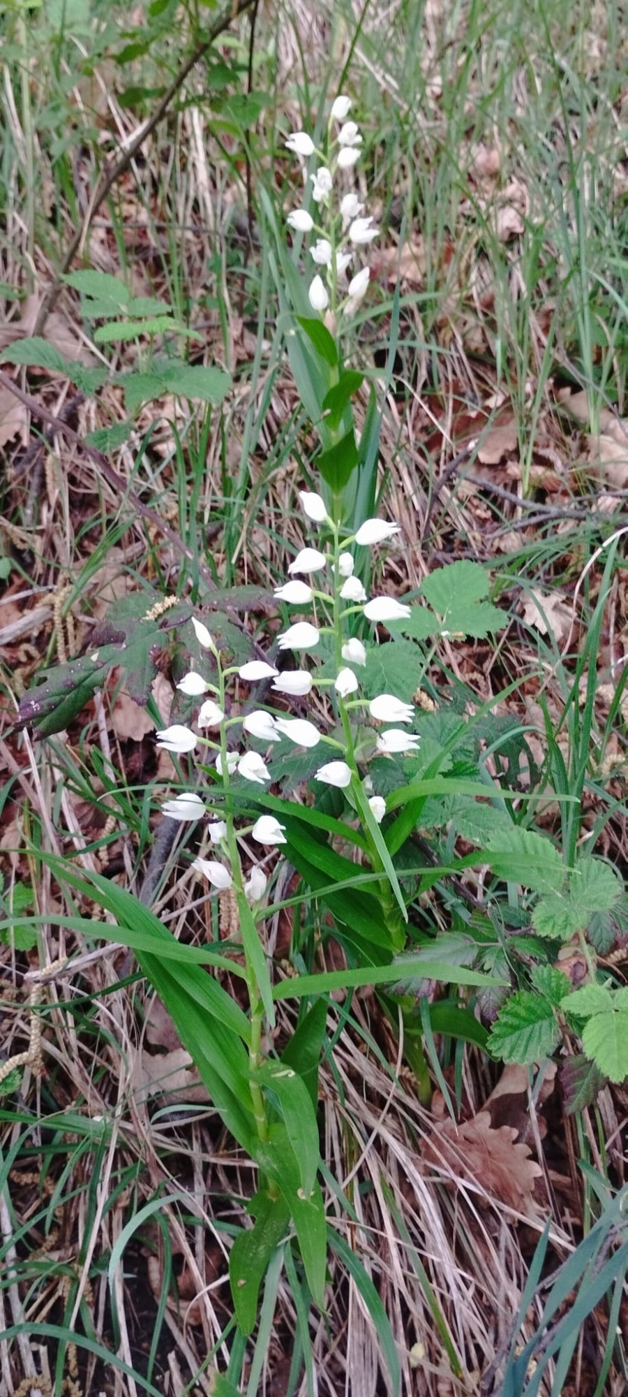 WhatsApp Image 2026-04-16 at 21.48.56  2 .